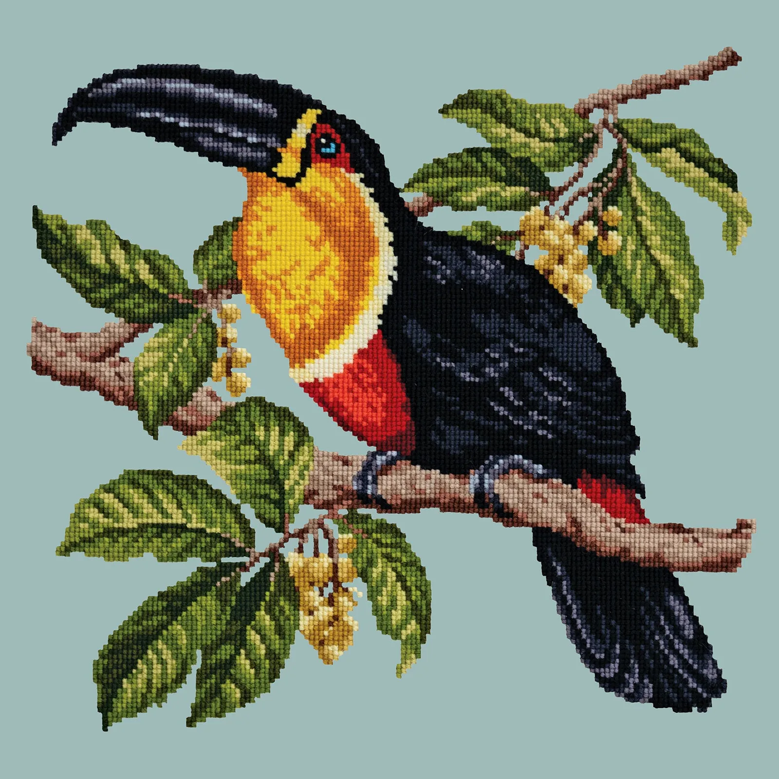 Toucan