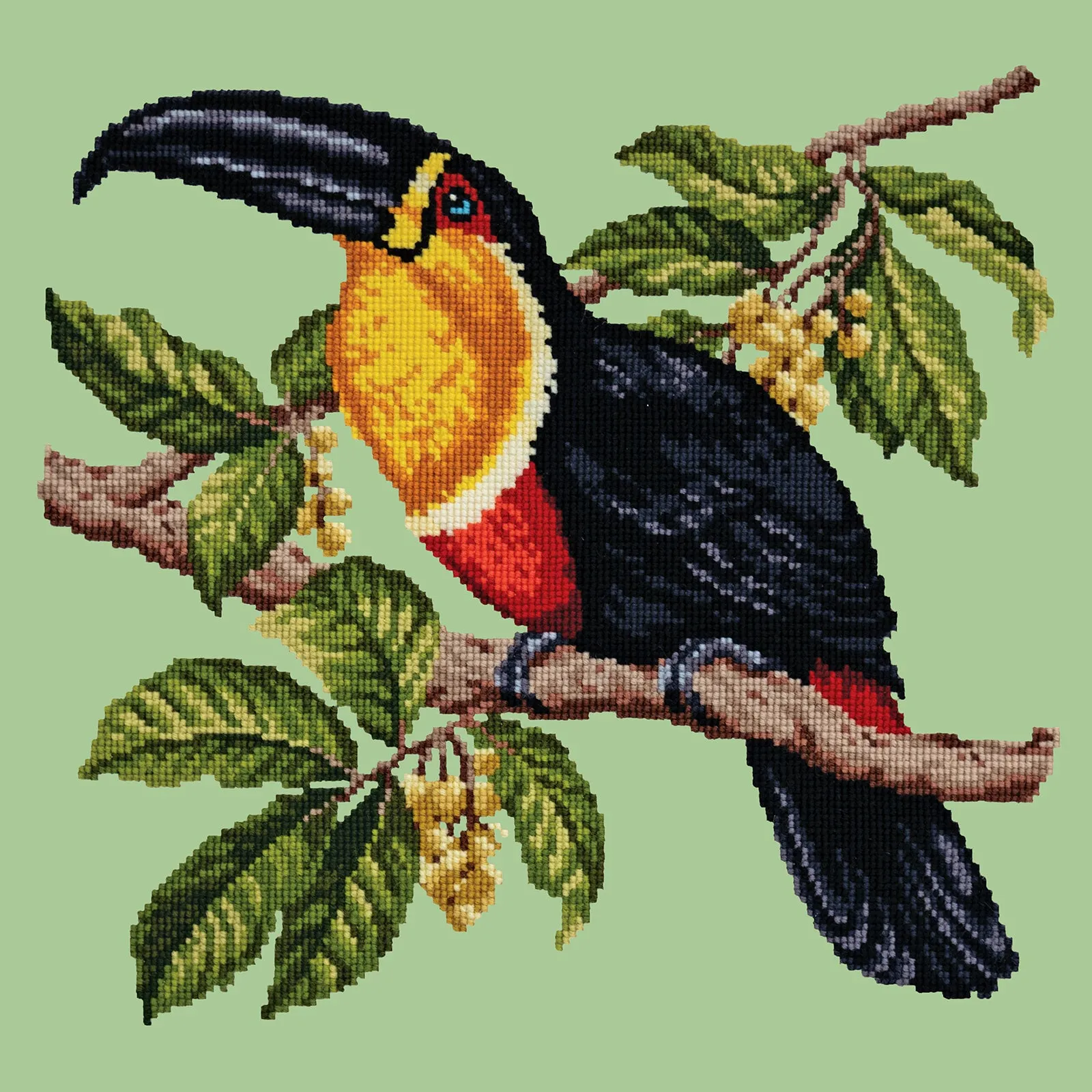Toucan