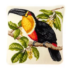 Toucan
