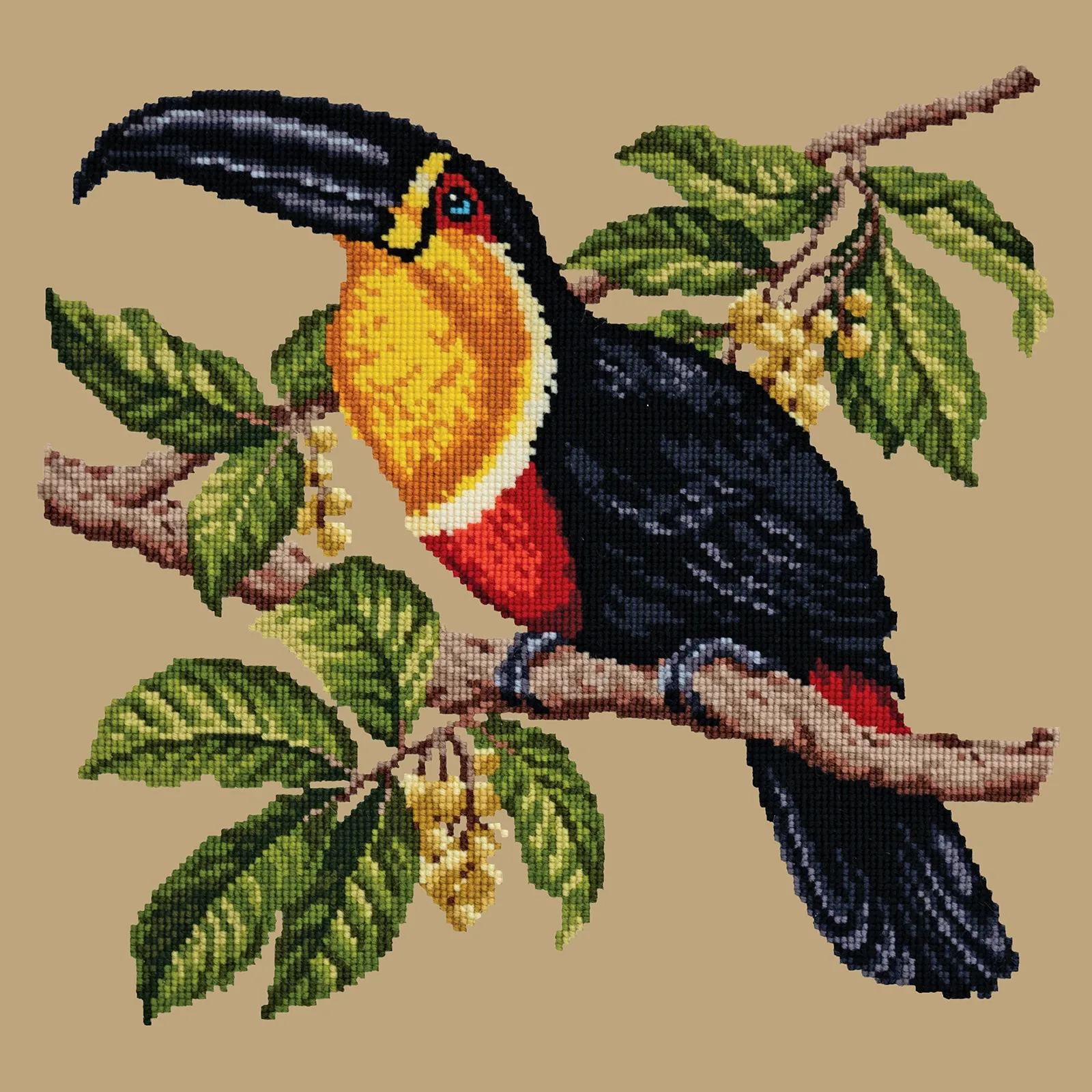 Toucan