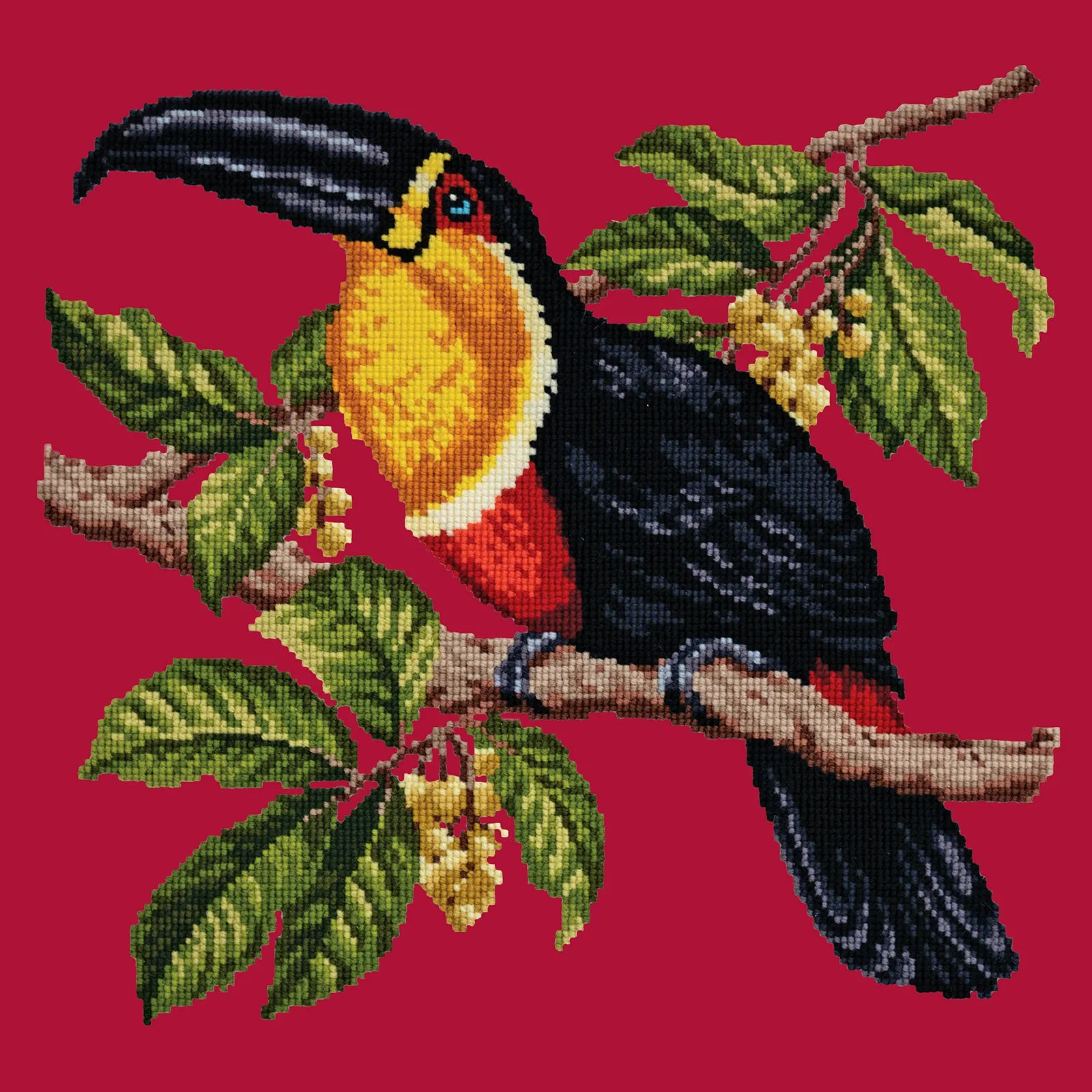 Toucan