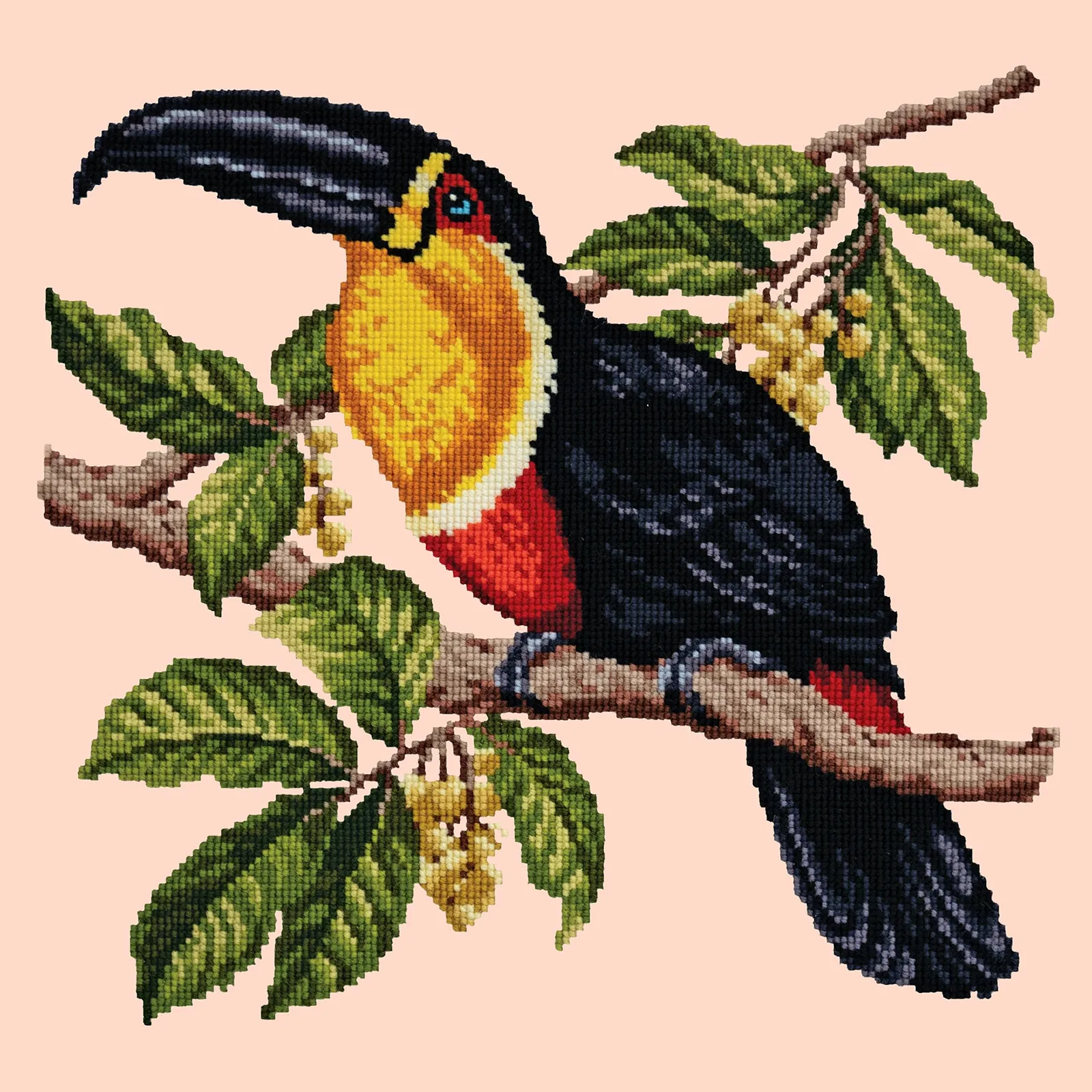Toucan