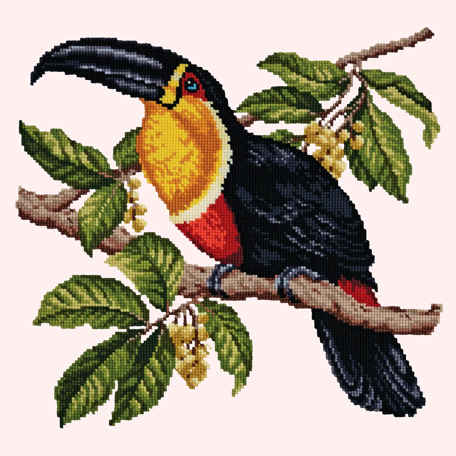 Toucan