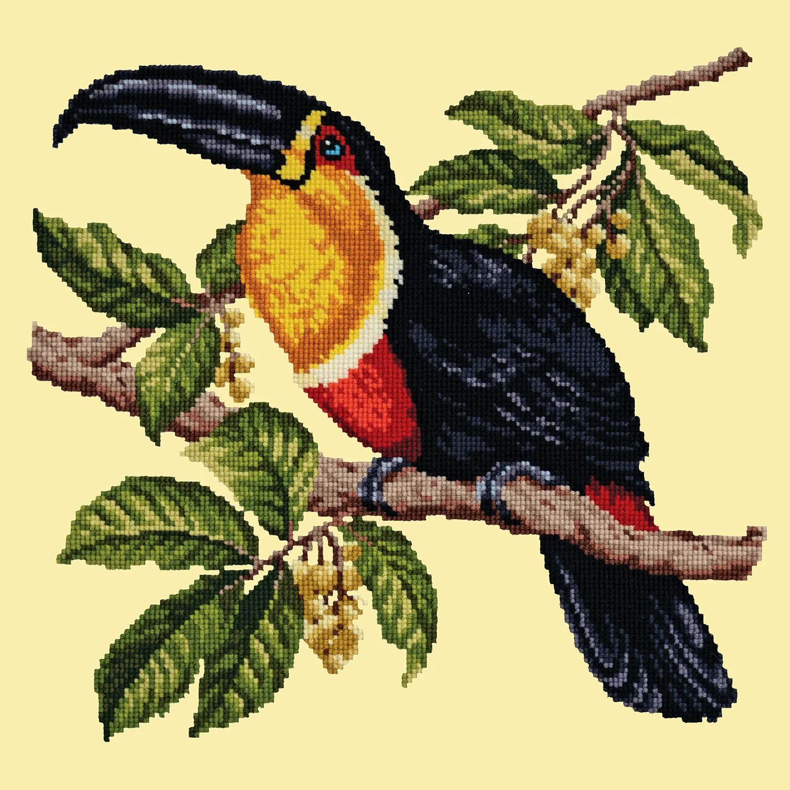Toucan