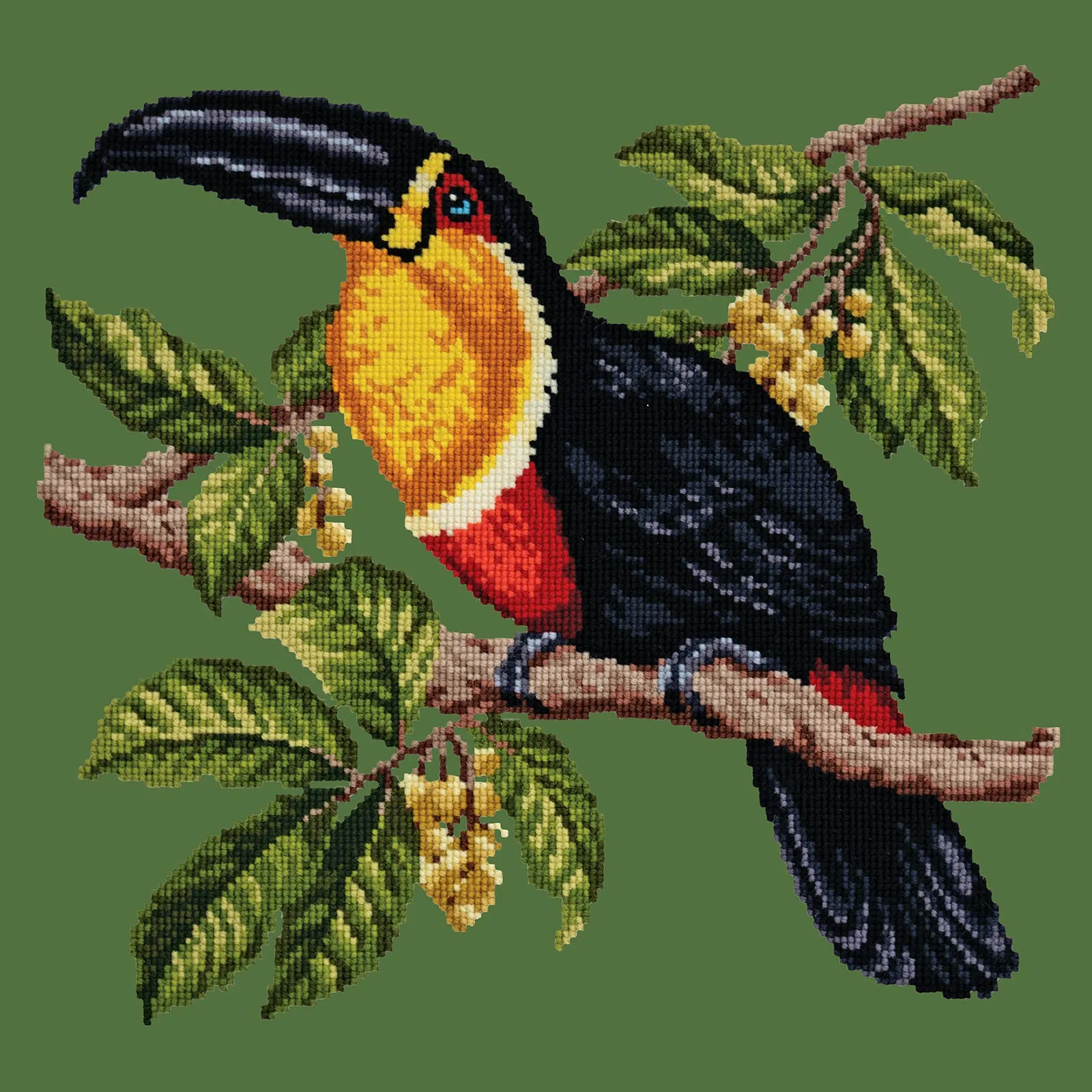 Toucan