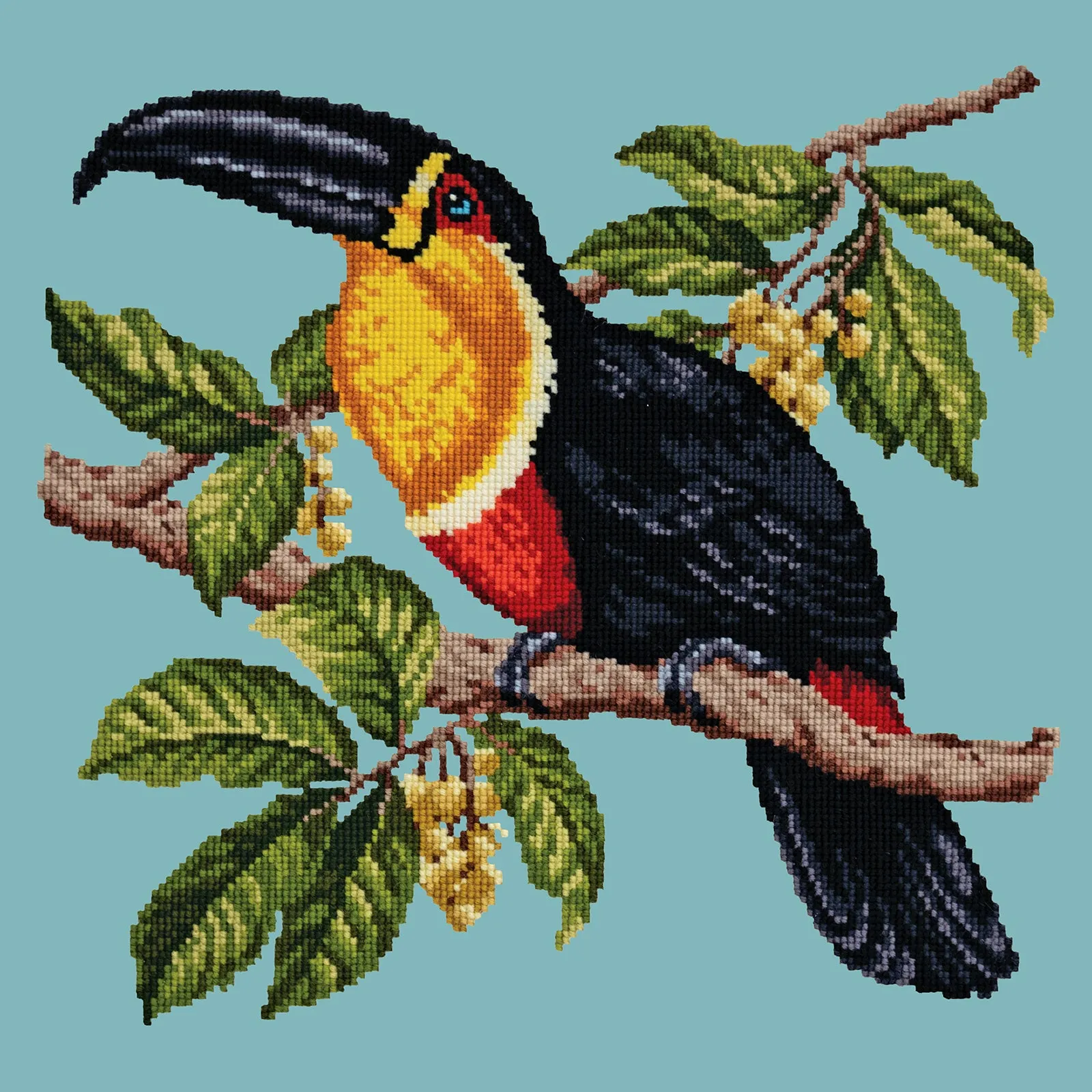 Toucan
