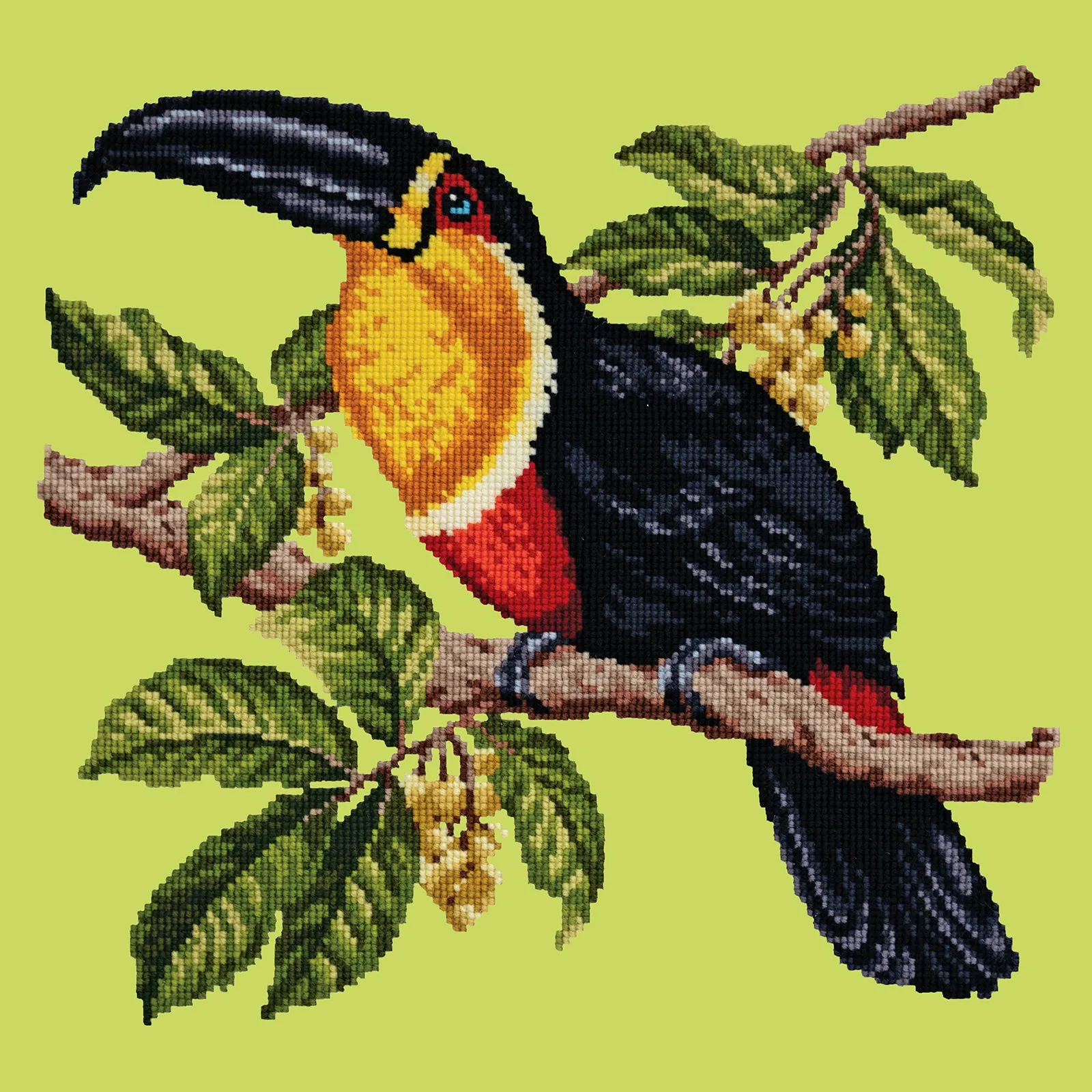 Toucan