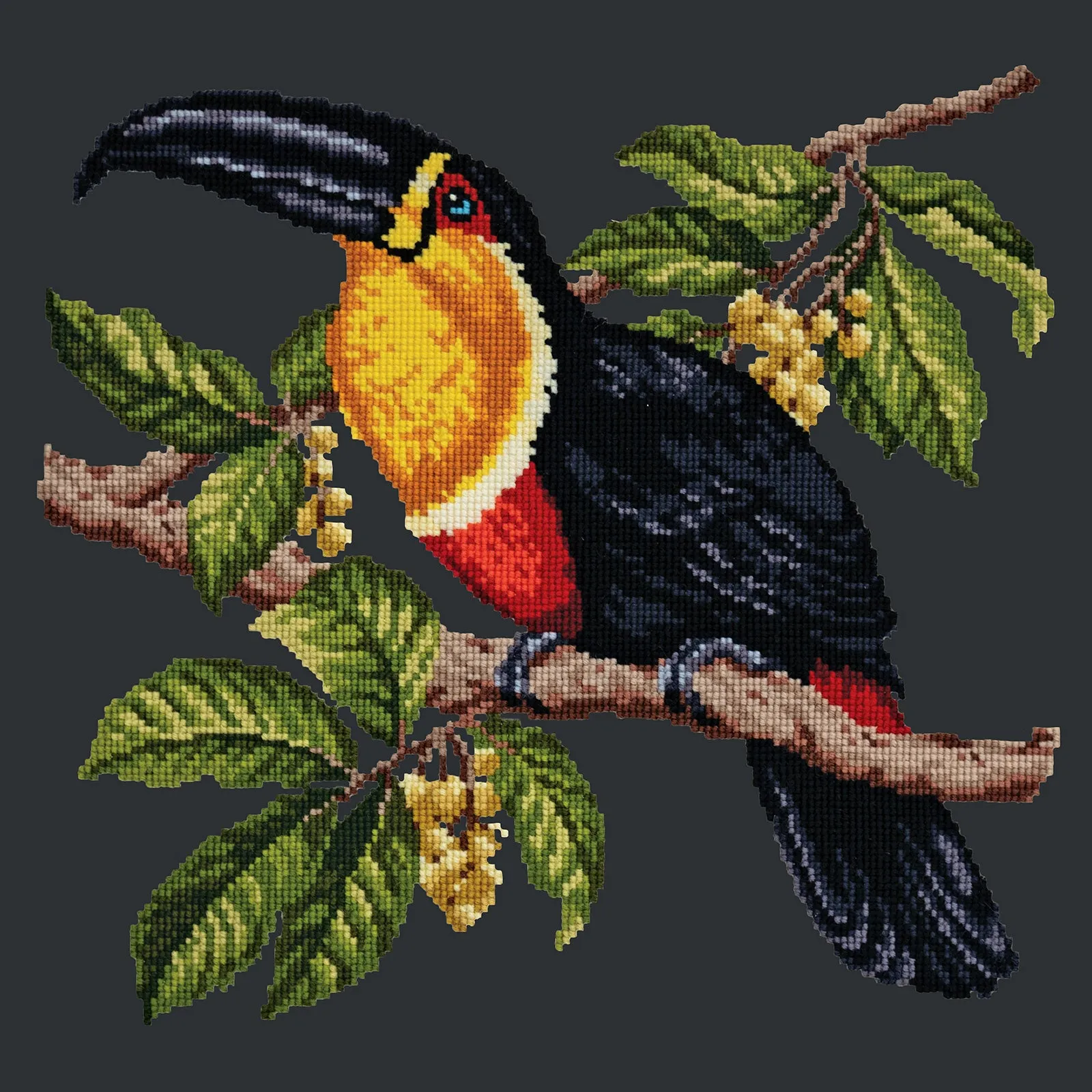 Toucan