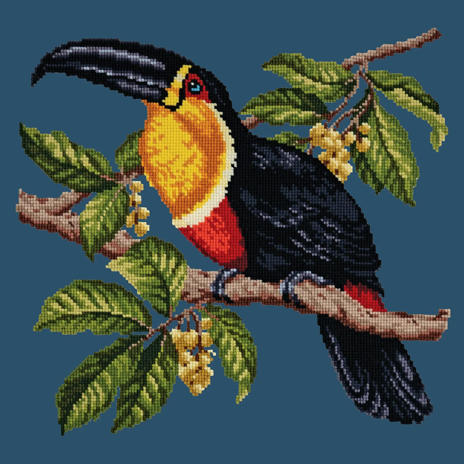 Toucan