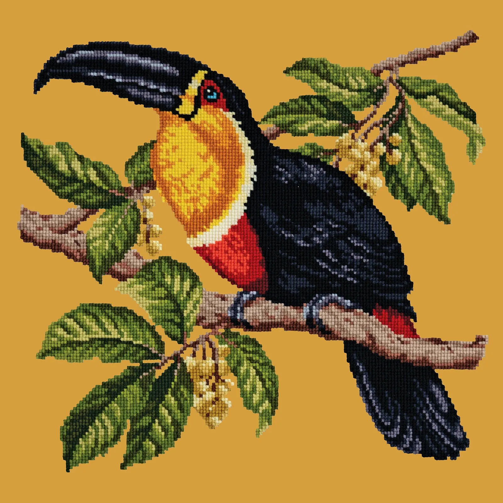 Toucan
