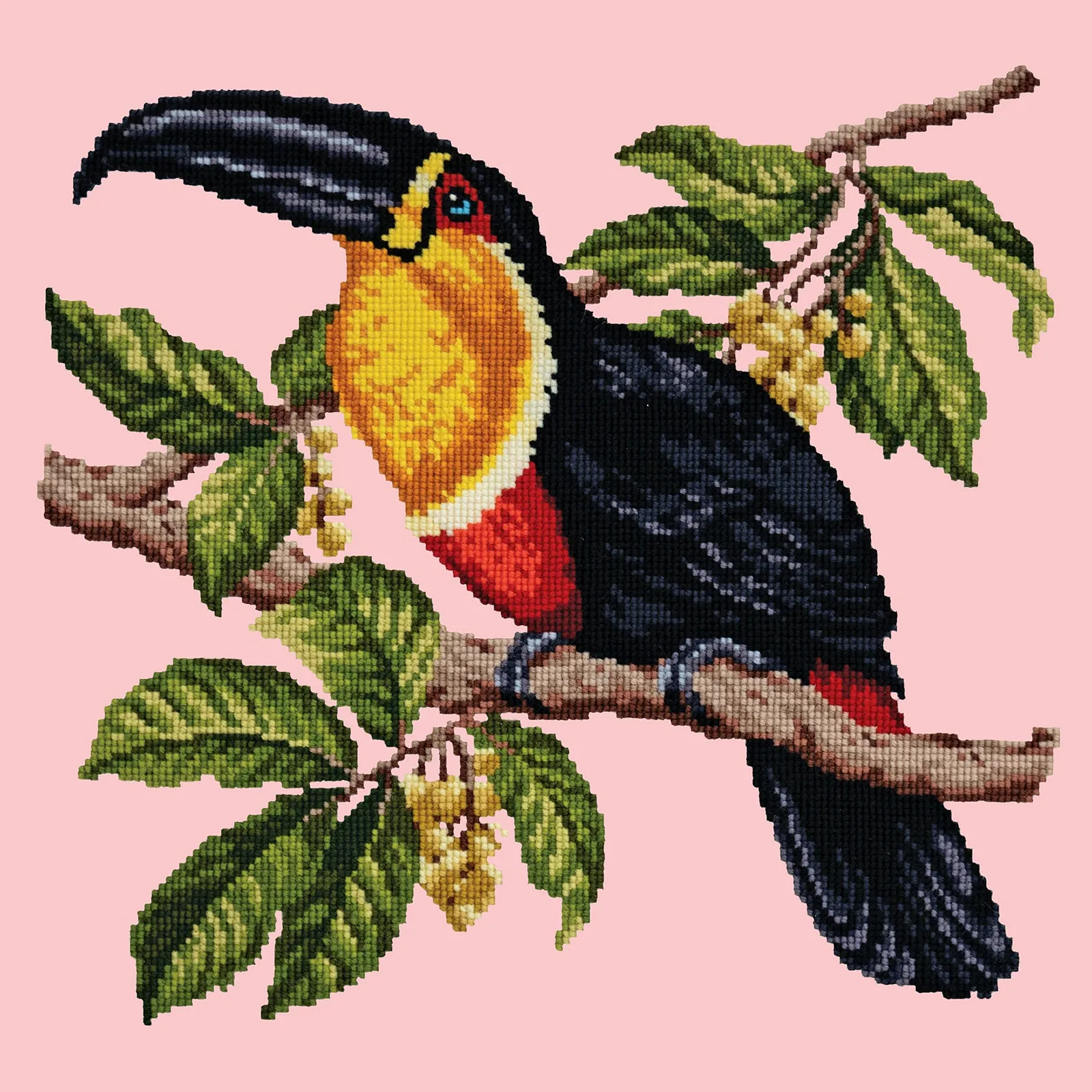 Toucan