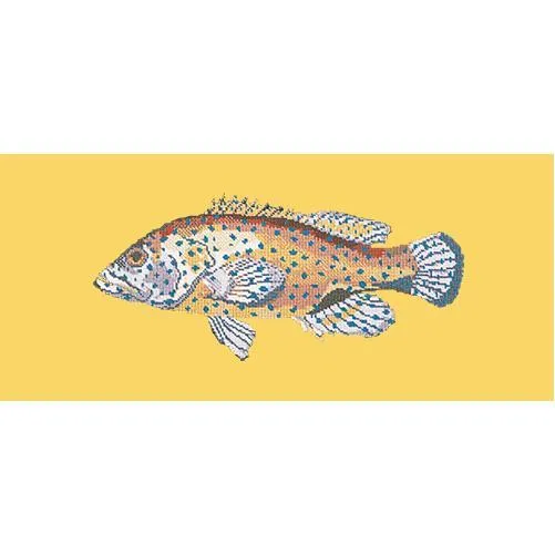 Vermilion Seabass