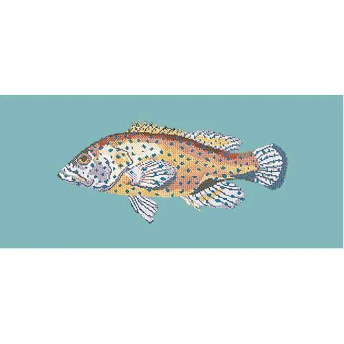 Vermilion Seabass
