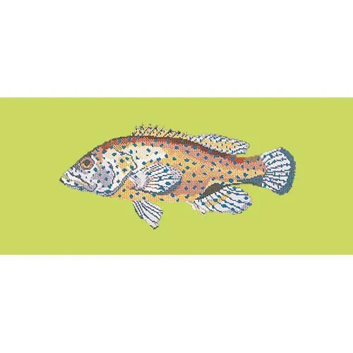 Vermilion Seabass