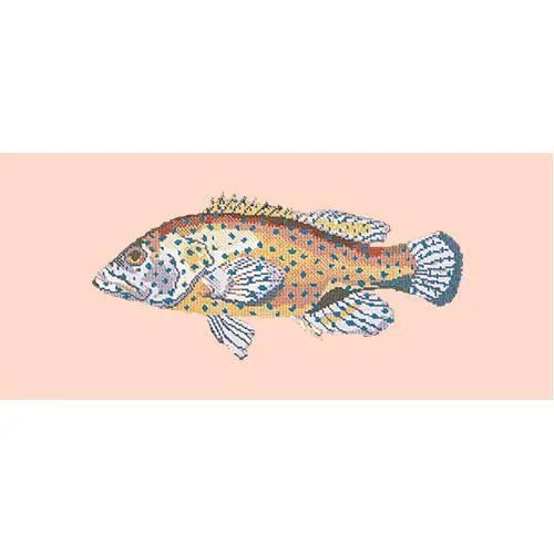 Vermilion Seabass