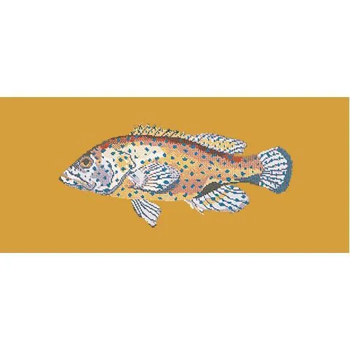 Vermilion Seabass