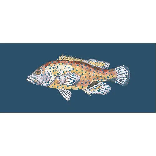 Vermilion Seabass