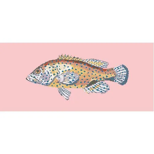 Vermilion Seabass