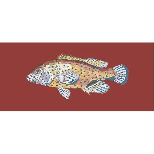 Vermilion Seabass