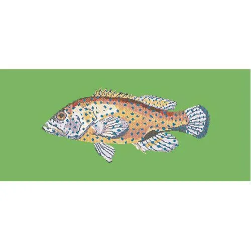 Vermilion Seabass