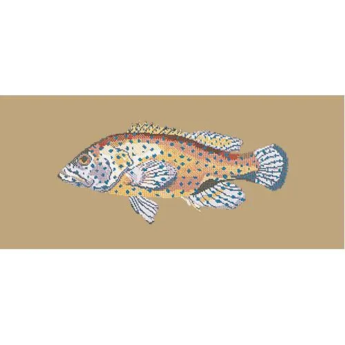 Vermilion Seabass