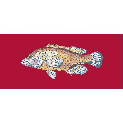 Vermilion Seabass