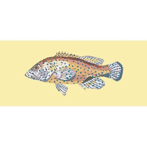 Vermilion Seabass