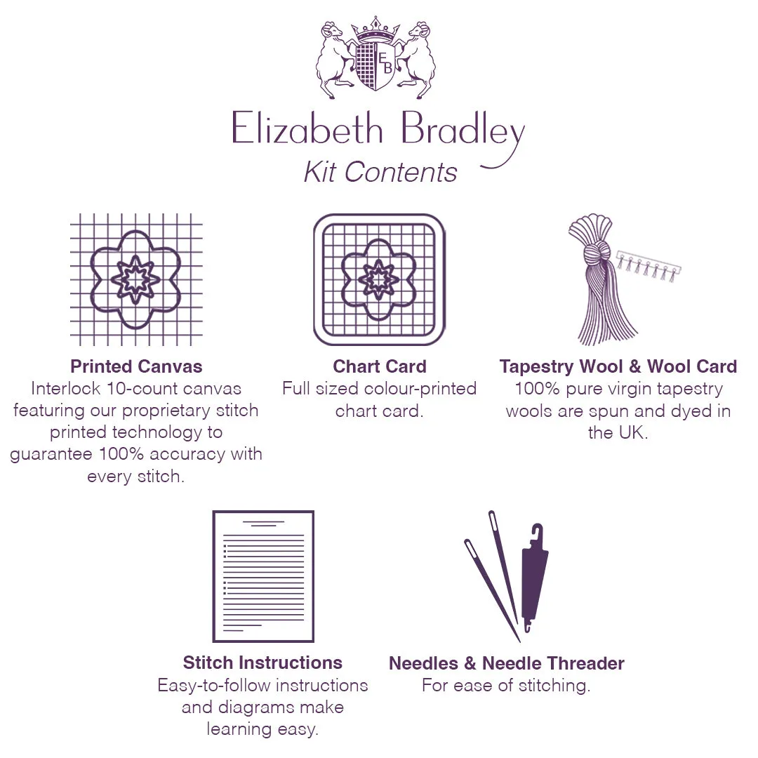 Viola Starter Kit