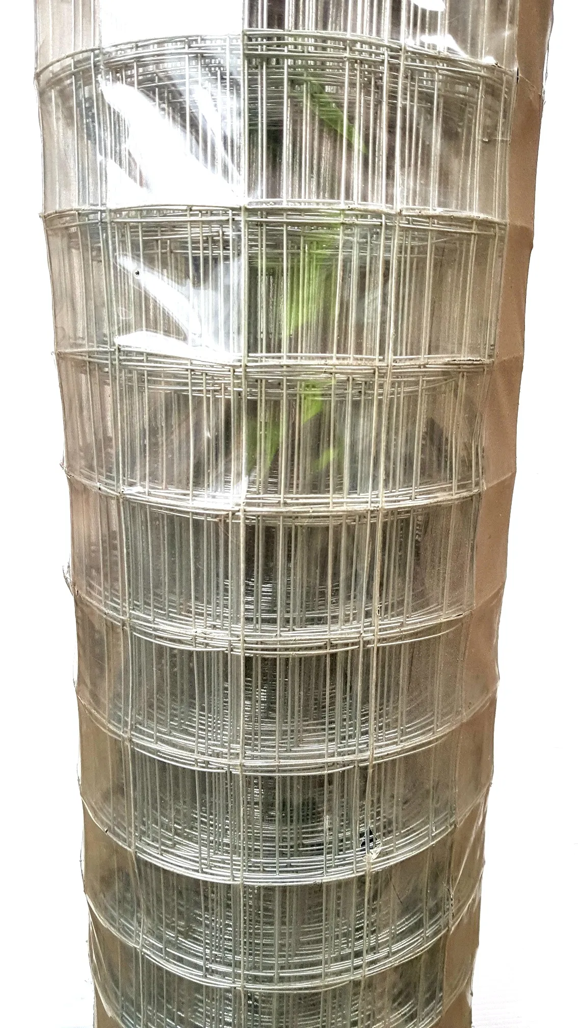 Welded Mesh - Galvanised - 50mm x 50mm - 1200mm high x 30m roll