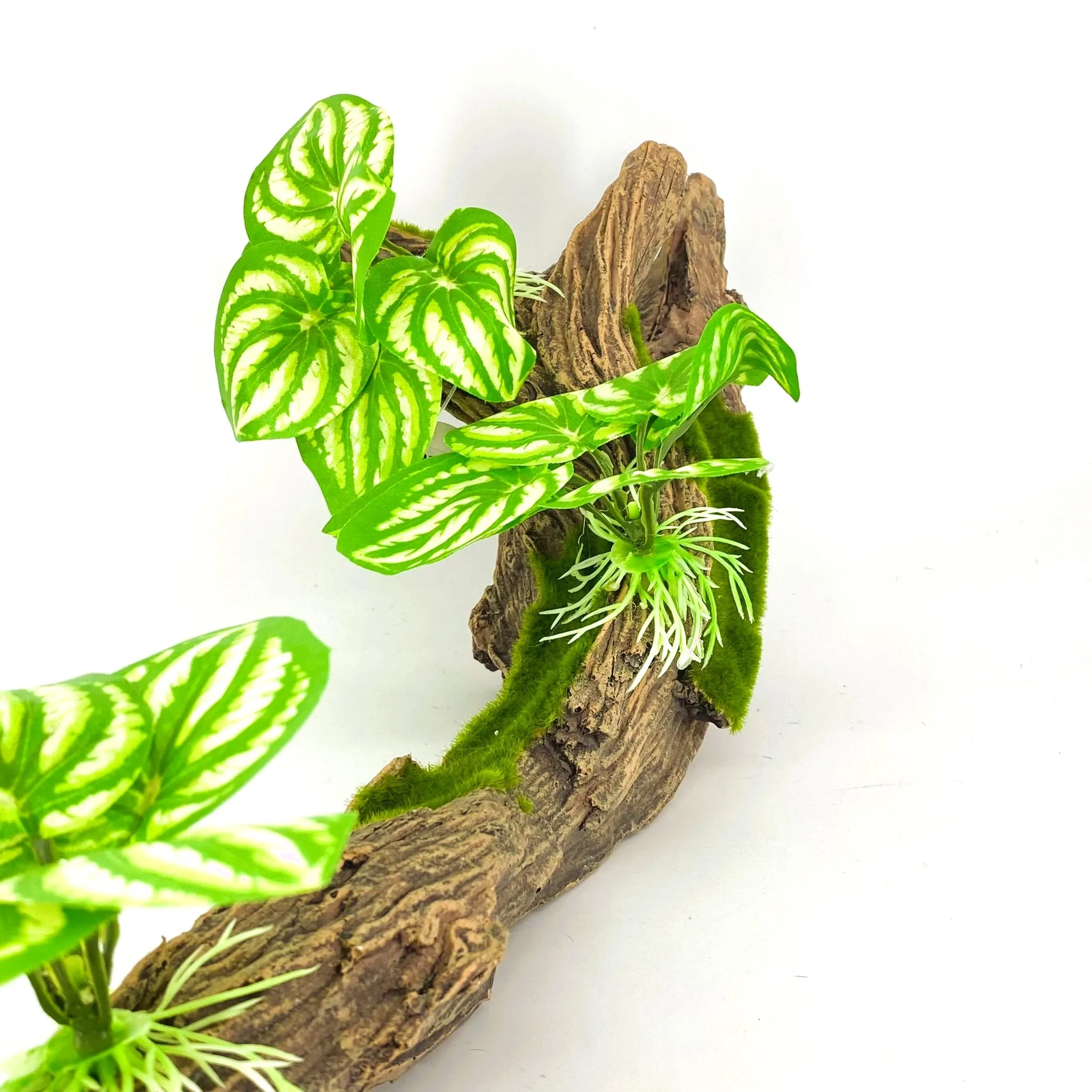 Zhen De Decoration - Wood w/ Plants - F07-6