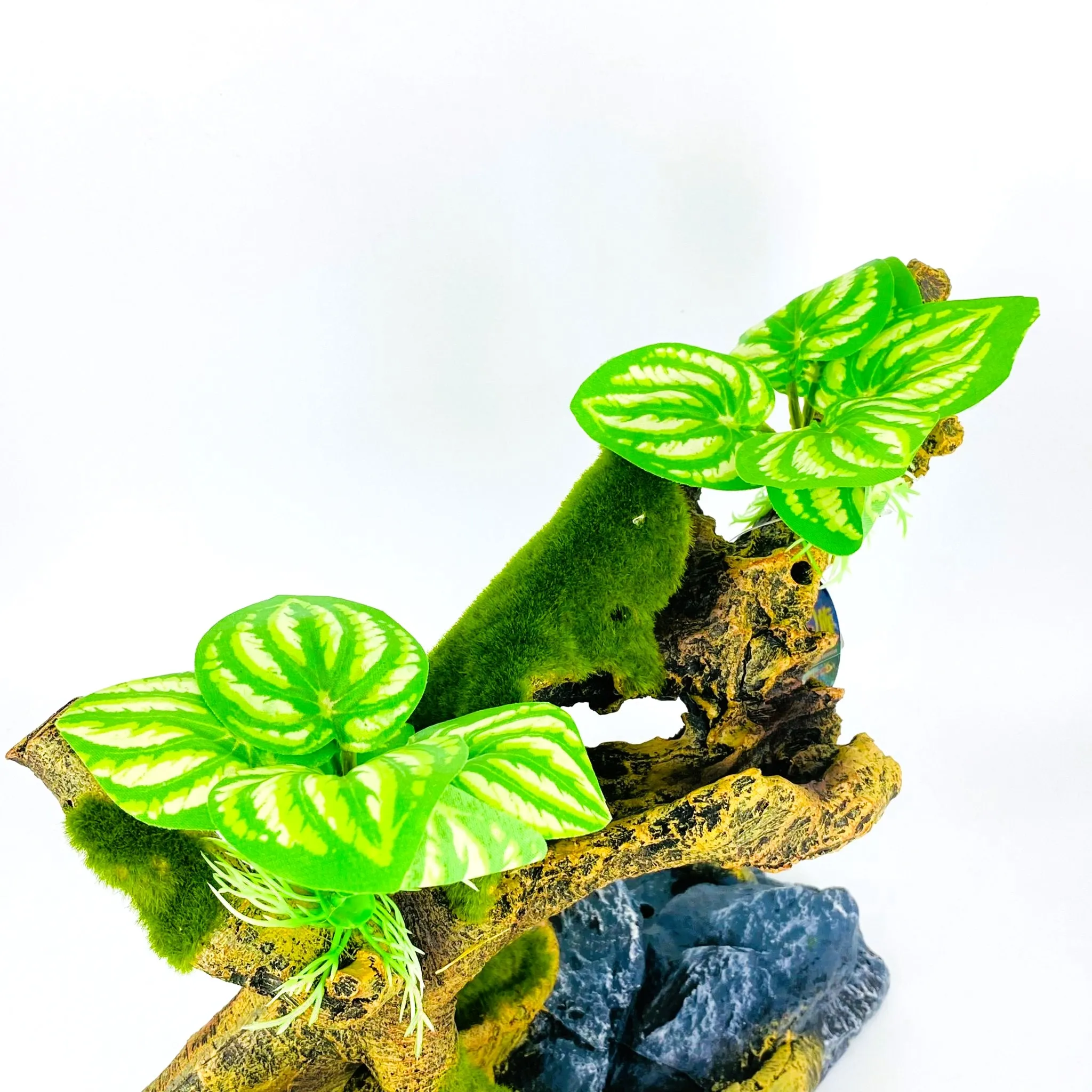 Zhen De Decoration - Wood w/ Plants - F25278-6